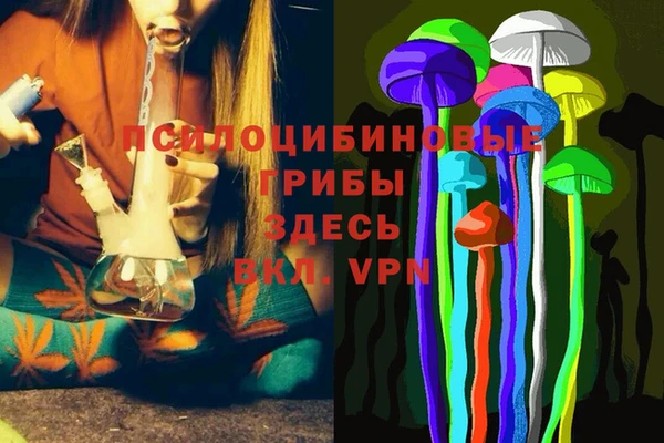 индика Алзамай