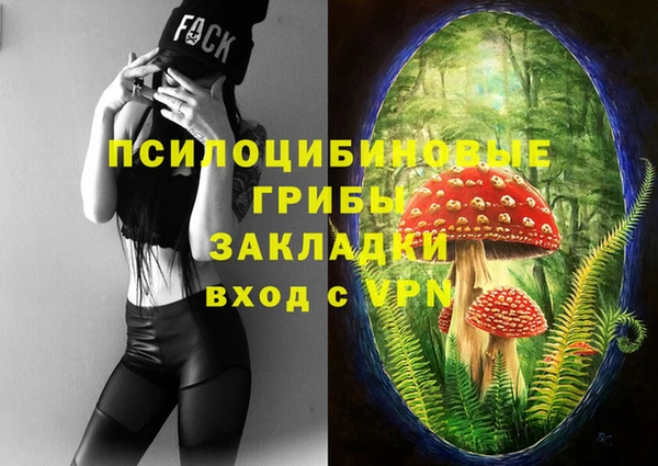 индика Алзамай