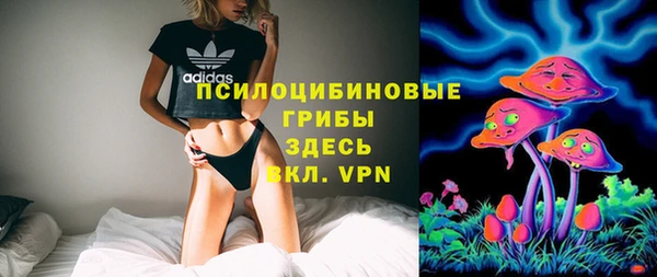 индика Алзамай